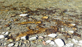 stream bed rocks