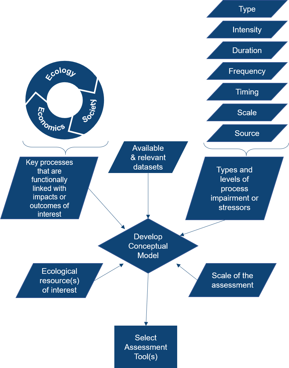 Example processes and factors to be considered when developing your conceptual model, including ecological resources of interest, scale of assessment, key processes that are functionally linked with impacts or outcomes of interests, types and levels of process impairment or stressors, and available and relevant datasets.